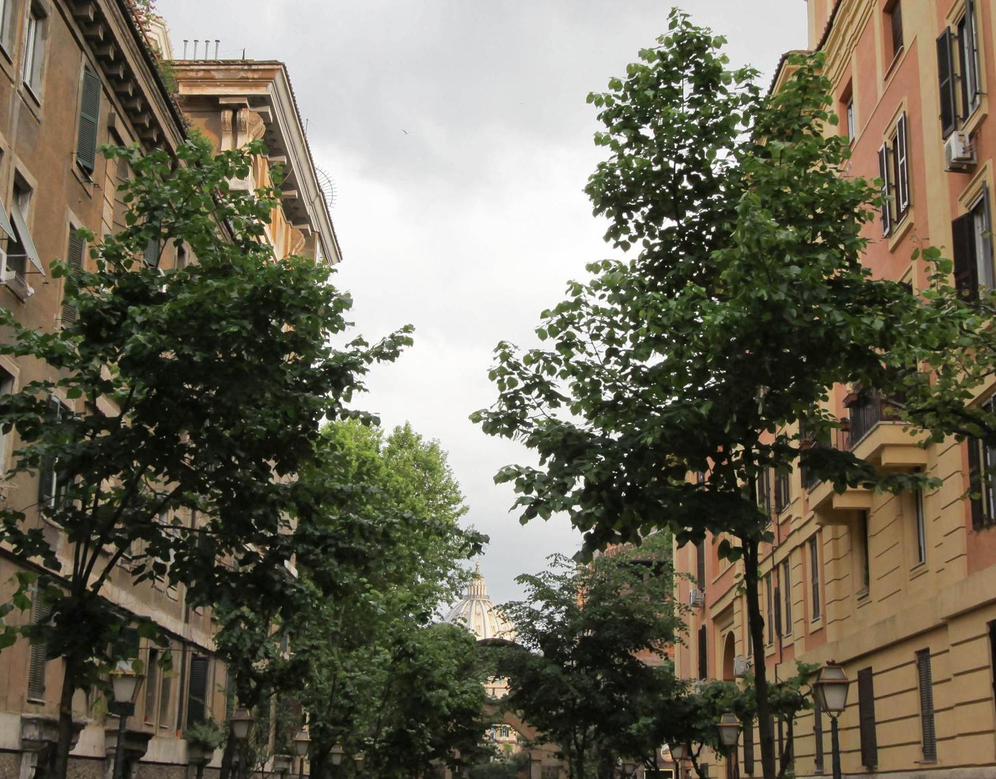 Affittacamere San Pietro Resort Rome Extérieur photo